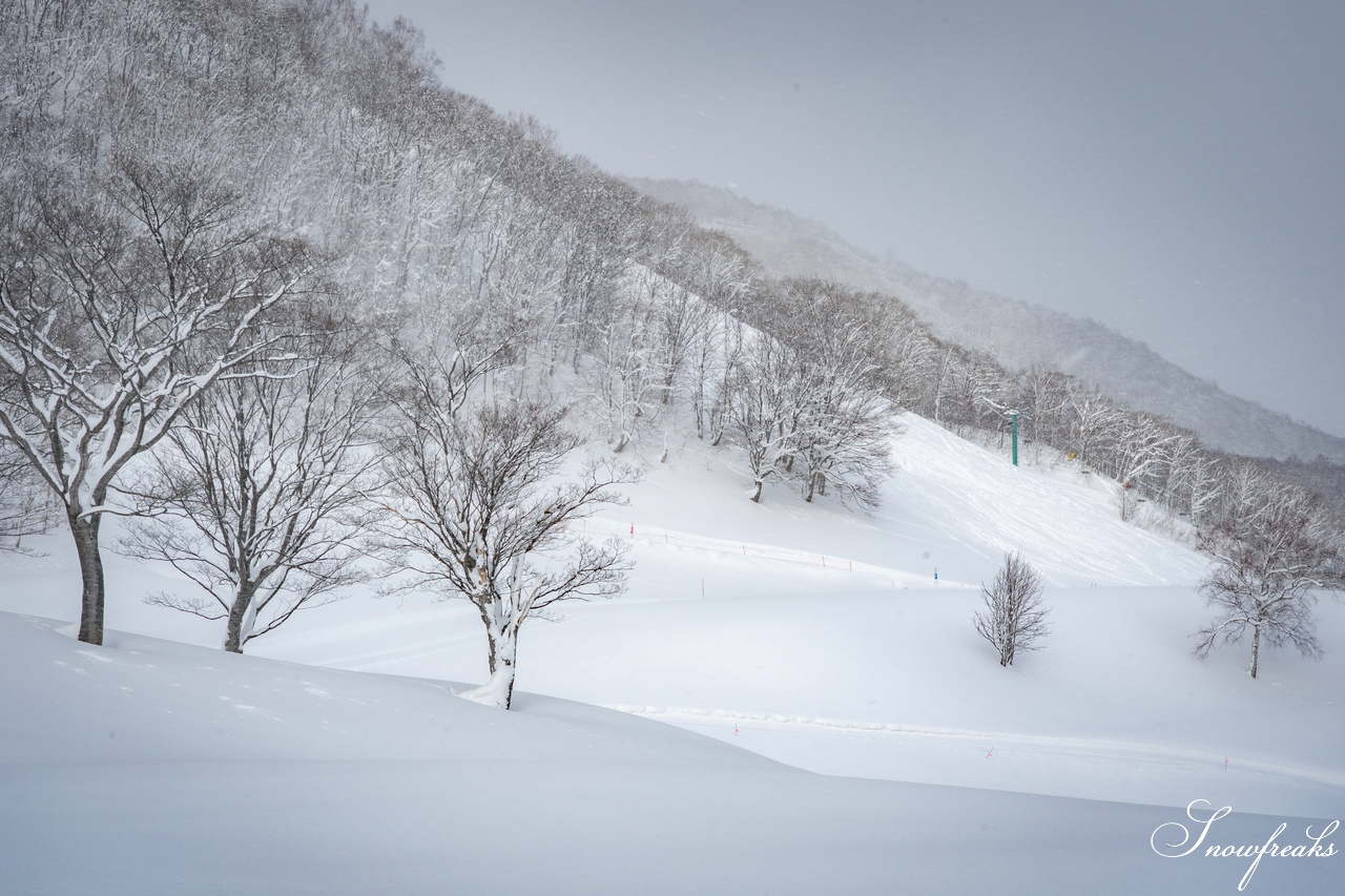 片岡嵩弥 - Takaya Kataoka - Powder Photo Session 2026 in ASARI